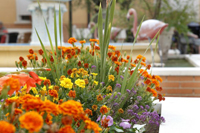 Jardines