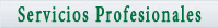 Servicios Profesionales